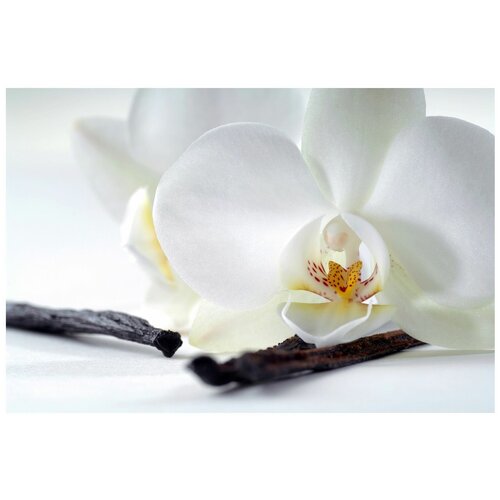 Интерьерная картина-обогреватель "Белая орхидея" 60*100 см