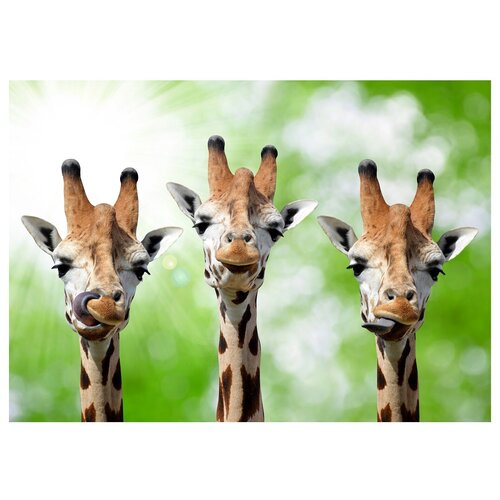 Интерьерная картина-обогреватель "Три жирафа" 60*100 см