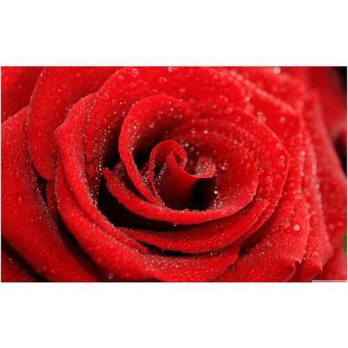 Интерьерная картина-обогреватель WarmART "Красная роза" 60х100 см