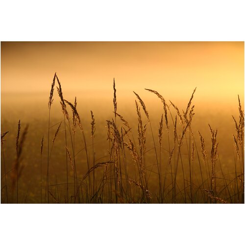 Интерьерная картина-обогреватель WarmART "Пшеничное поле" 60х100 см
