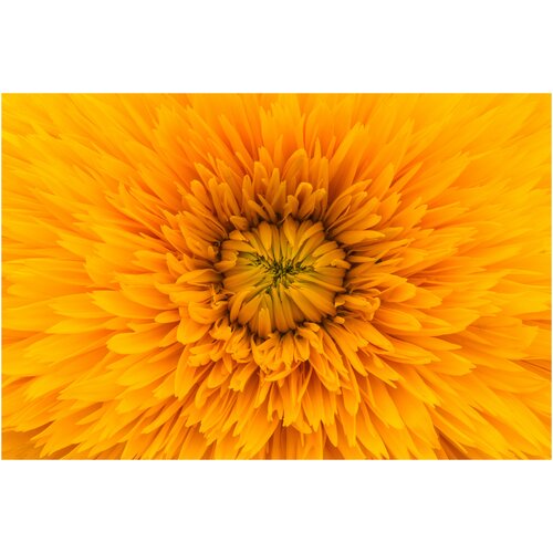 Интерьерная картина-обогреватель WarmART "Жёлтый одуванчик" 60х100 см