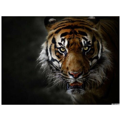Интерьерная картина-обогреватель WarmART "Грозный тигр" 60х100 см