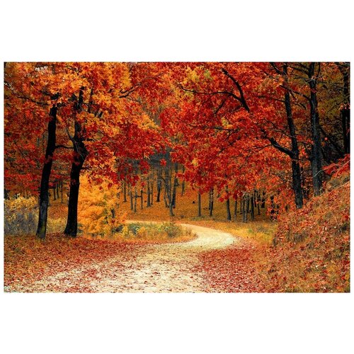 Интерьерная картина-обогреватель WarmART "Осенний лес" 60х100 см