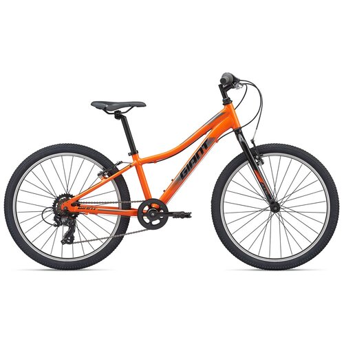 Подростковый велосипед Giant XTC Jr 24 Lite (2021) 24 Зеленый
