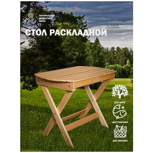 EVITAmeb / Стол складной для сада 1000х600/стол обеденный / стол для дачи / садовый стол / массив липы