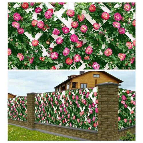 Фотосетка Мечта для декора "Розовая стена" 300x158 см