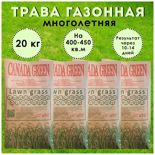 Газонная трава семена Канада Грин "Premium" ( для ленивых ) 20 кг на 400-450 кв.м.
