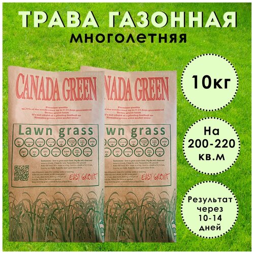 Газонная трава семена для спортивных площадок Канада Грин "Sport"10 кг на 200-220 кв.м.