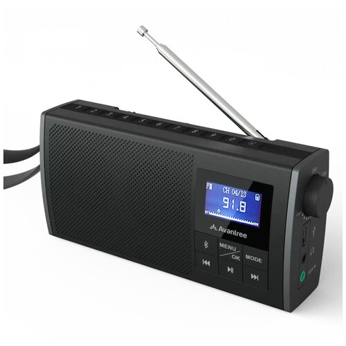 Цифровой FM радиоприемник Avantree SP860 (Черный)