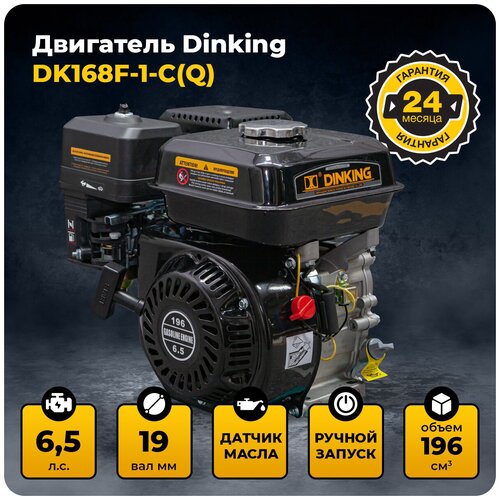 Двигатель Dinking DK168F-1-C(Q) (6