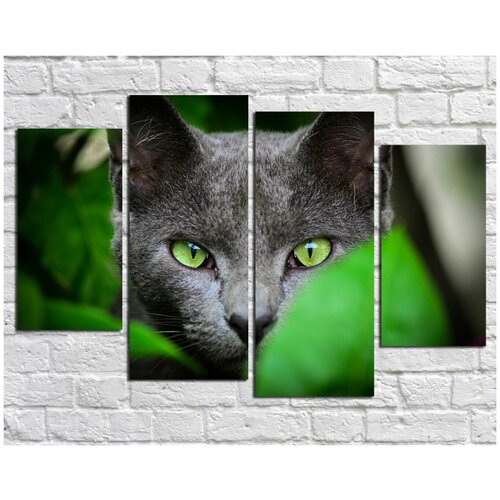 Модульная картина на Холсте - "Кот с зелеными глазами"
