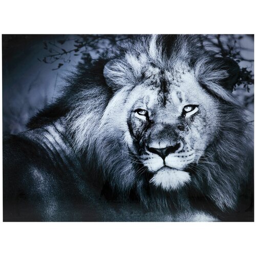 KARE Design Картина Lion King