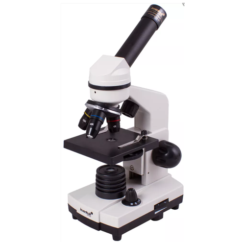 Микроскоп Levenhuk Rainbow D2L