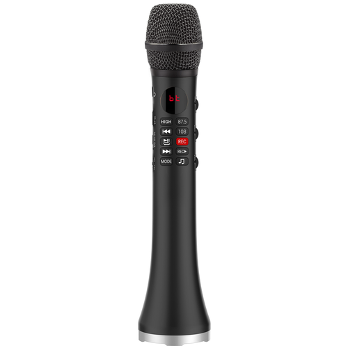 Профессиональный караоке-микрофон L-699 DSP 20W