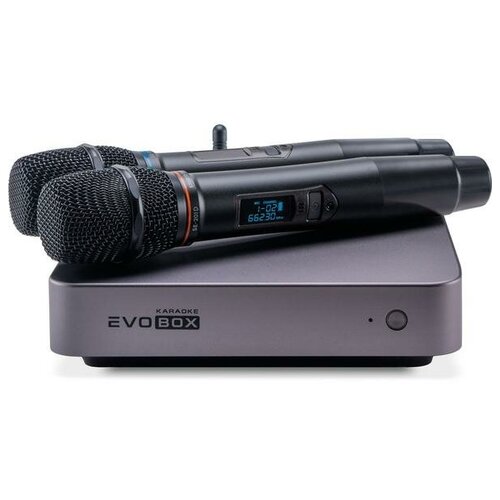 Караоке система с микрофонами Studio Evolution EVOBOX Plus New графит