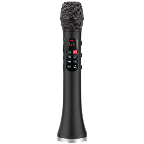 Профессиональный караоке-микрофон L-1038DSP 25W