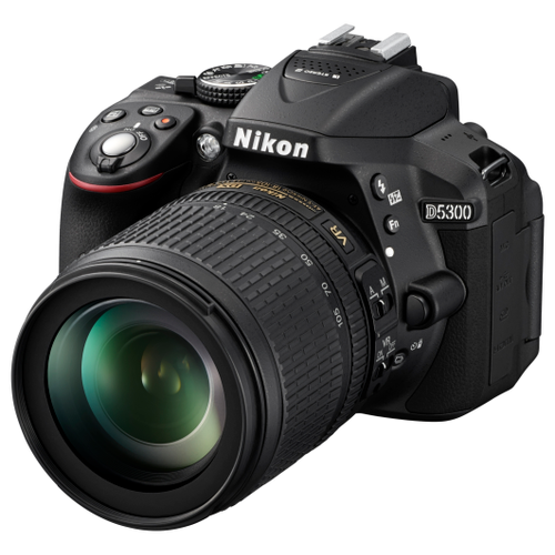 Фотоаппарат Nikon D5300 Kit AF-P 18-55mm f/3.5-5.6 VR