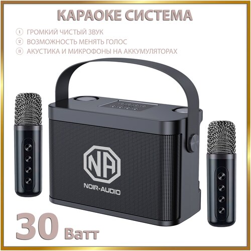 Караоке система NOIR-audio K-5 с двумя беспроводными микрофонами