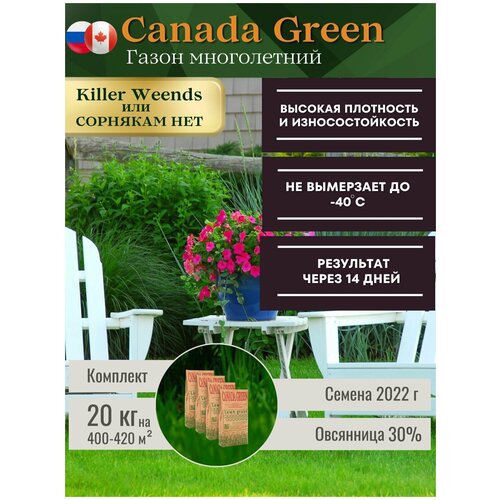 Газонная трава вытесняющая сорняки 20 кг. Семена газона Канада Грин "Killer Weends"