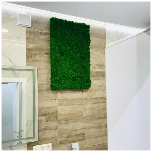 Фитопанель 50*70см из стабилизированного мха ягеля зеленый мох для дизайна интерьера/озеленение