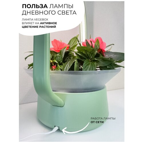 Горшок - Фитолампа / Фитосветильник светодиодный Vegebox V-Basket зеленый для растений и рассады