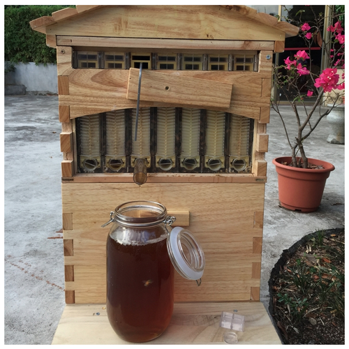 Автоматический улей для пчёл