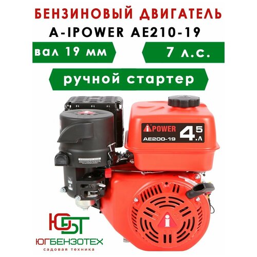 Бензиновый двигатель A-IPOWER AE210-19 (вал 19