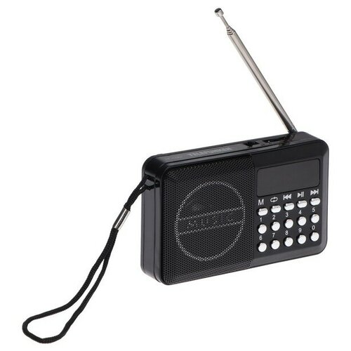 Радиоприемник TELEFUNKEN TF-1667 USB/Micro SD черный