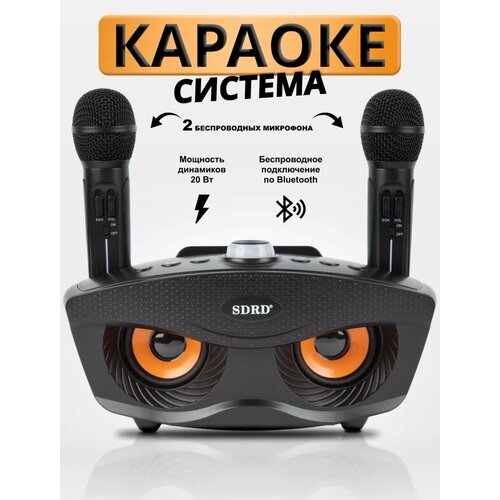 Караоке-система SDRD с двумя микрофонами для дома