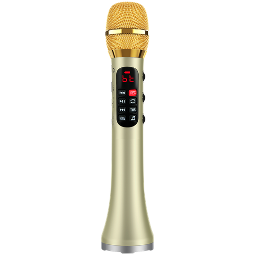 Профессиональный караоке-микрофон L-1038DSP 25W