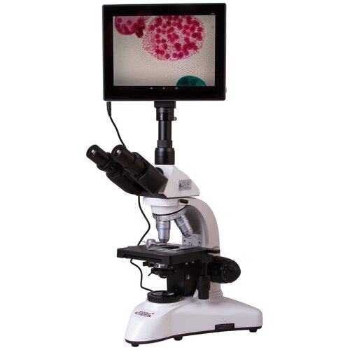 Микроскоп LEVENHUK MED D25T LCD белый