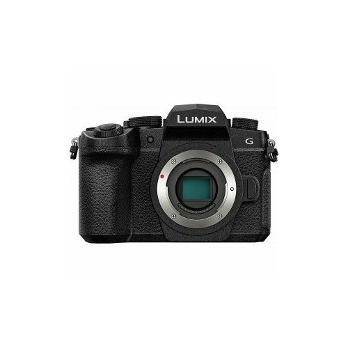 Фотоаппарат Panasonic Lumix DC-G95 Body