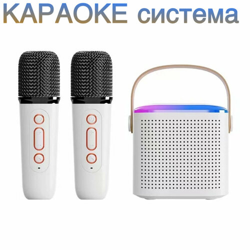 Караоке система NOIR-audio MK-2 с двумя беспроводными микрофонами и колонкой