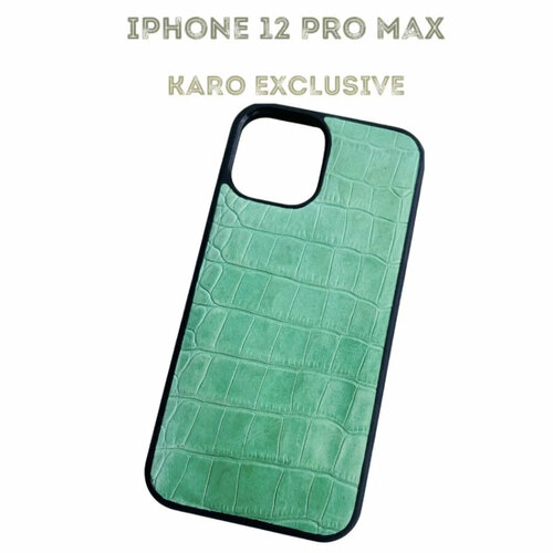 Чехол для iPhone 12 Pro Max