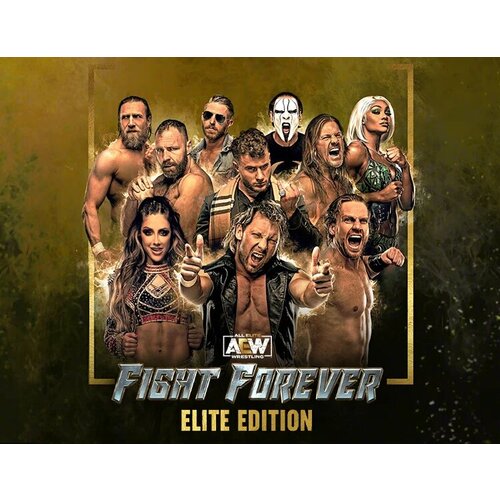 AEW: Fight Forever Elite Edition электронный ключ PC Steam