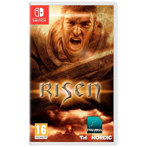 Игра Nintendo Switch - Risen (русская версия)
