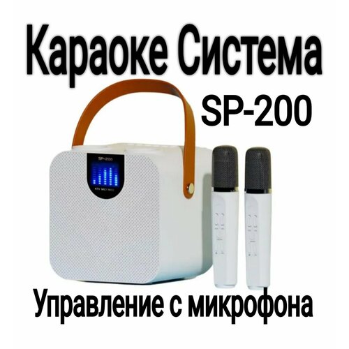 SP-200 караоке система с двумя микрофонами