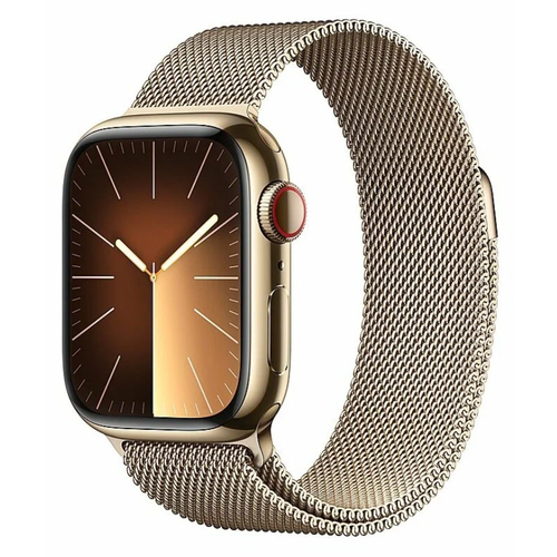 Умные часы Apple Watch Series 9 41 мм Steel Case GPS + Cellular