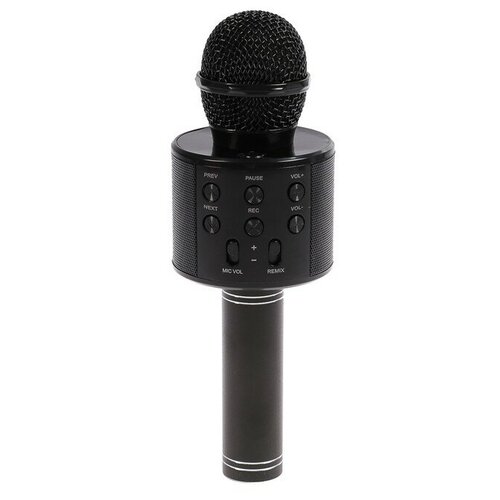 Микрофон для караоке LuazON LZZ-56